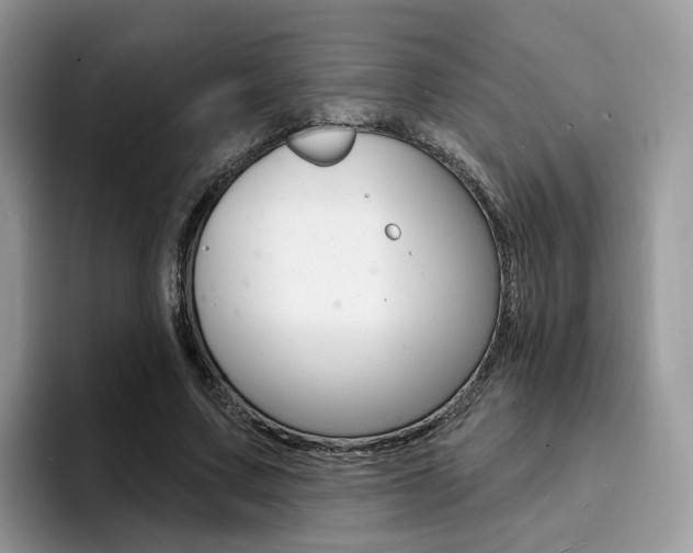 X0000094940683200711291021