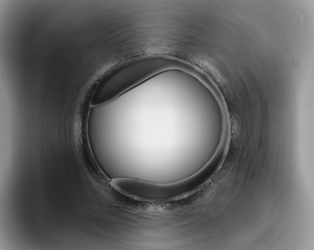 X0000094940684200711291021