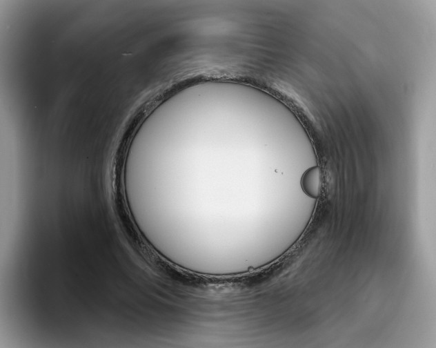 X0000094940686200711291021