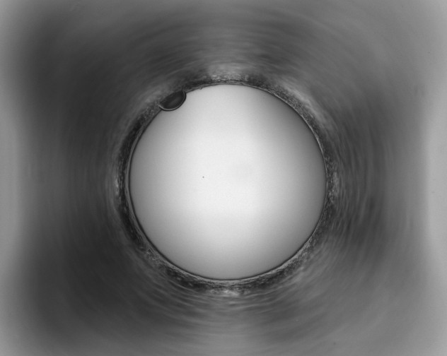 X0000094940687200711291021