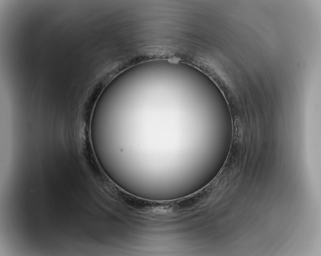 X0000094940692200711291021