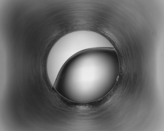 X0000094940693200711291021
