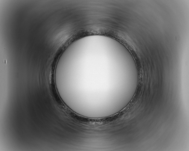 X0000094940694200711291021