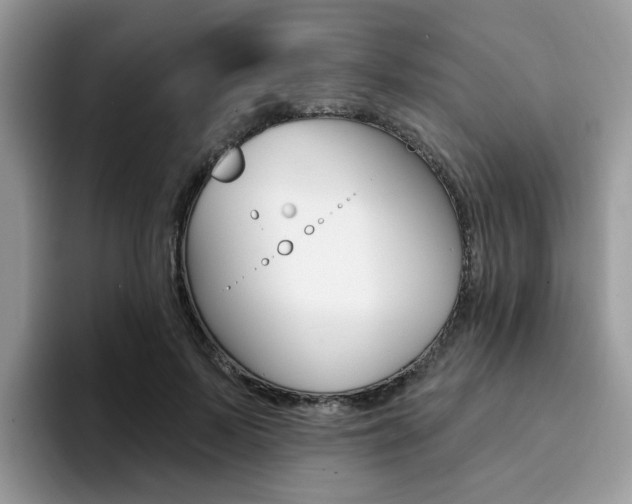 X0000094940695200711291021
