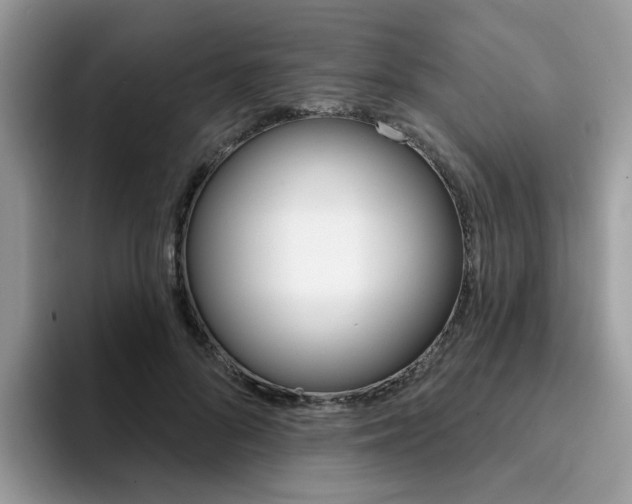 X0000094940696200711291021