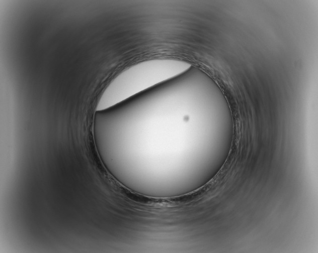 X0000094940698200711291021