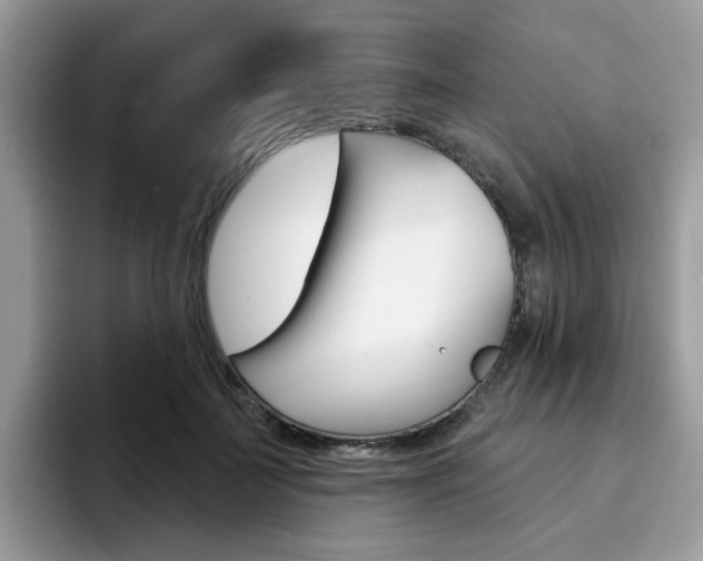 X0000094940699200711291021