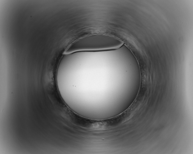 X0000094940700200711291021