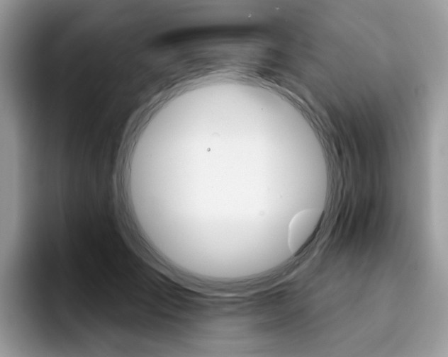X0000094940701200711291021