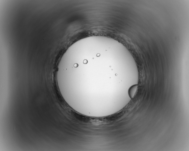 X0000094940703200711291021
