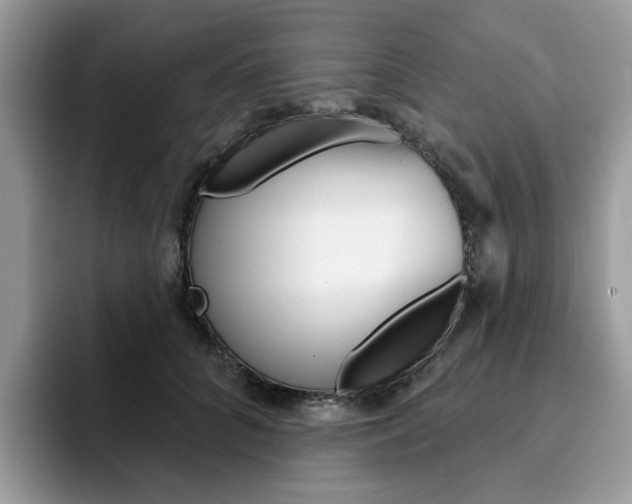 X0000094940704200711291021