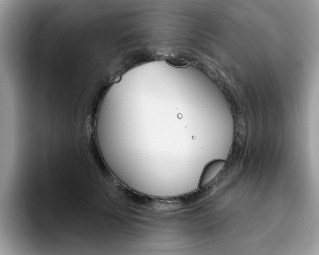 X0000094940707200711291021