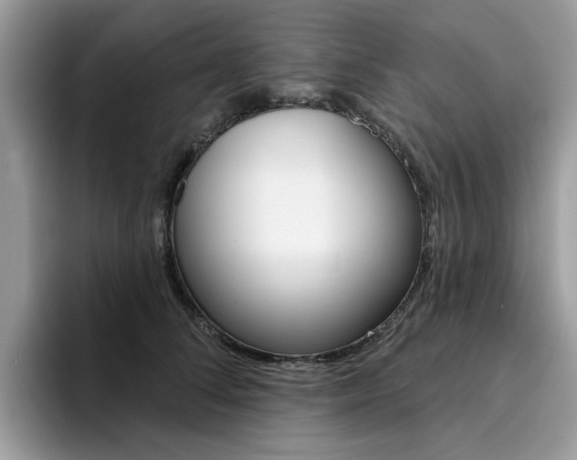 X0000094940708200711291021