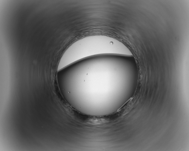 X0000094940712200711291021