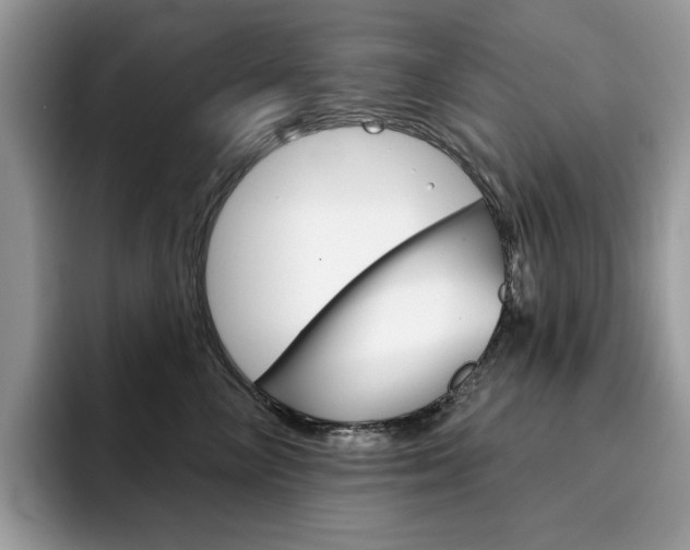 X0000094940714200711291021