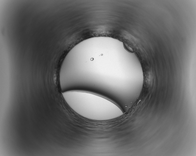 X0000094940715200711291021