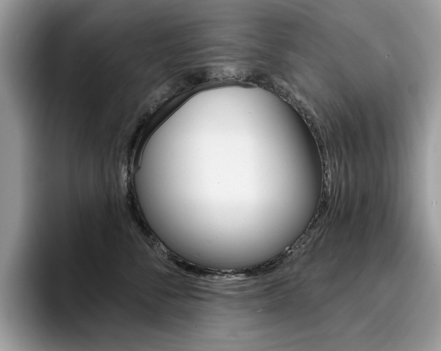 X0000094940716200711291021