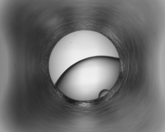 X0000094940718200711291021