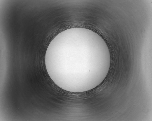 X0000094940720200711291021
