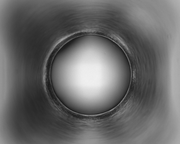 X0000094940724200711291020