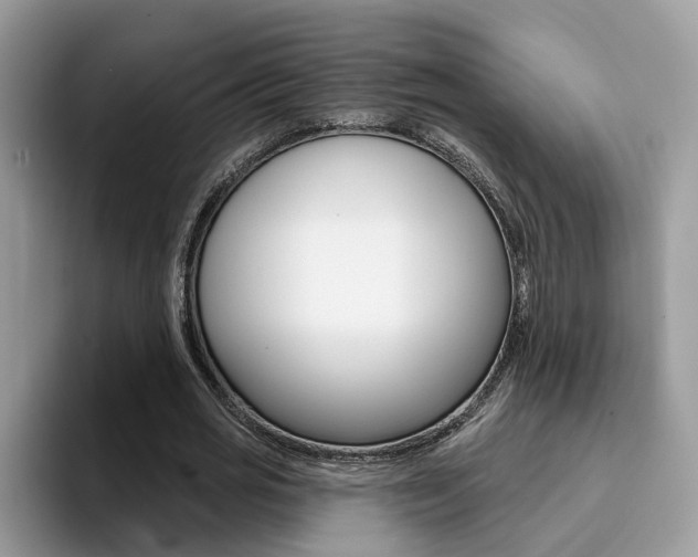 X0000094940725200711291020