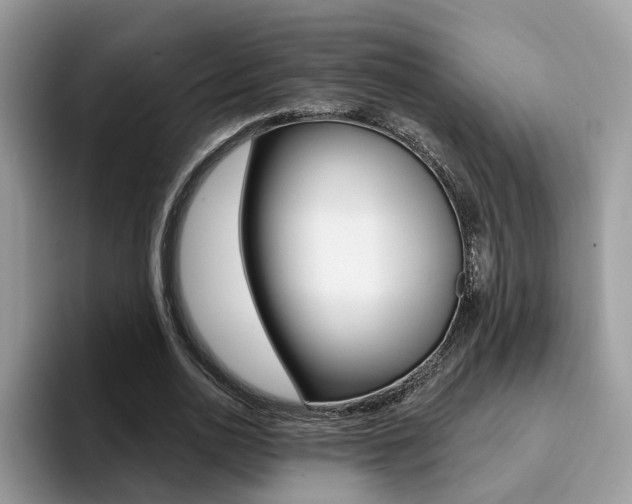 X0000094940726200711291020