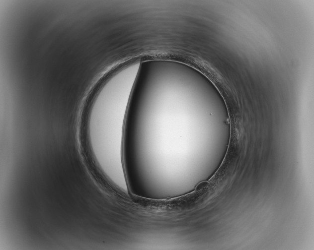X0000094940728200711291020