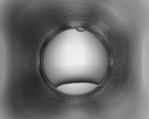 X0000094940733200711291020