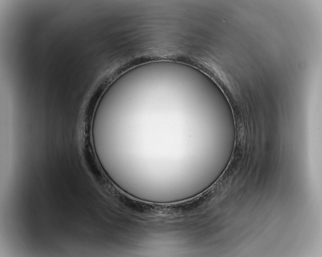 X0000094940736200711291020