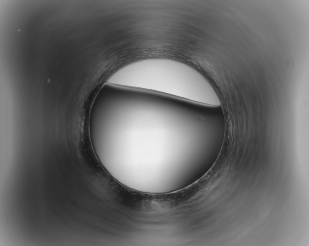 X0000094940739200711291021