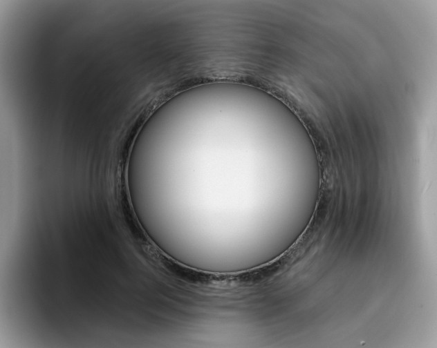 X0000094940744200711291021