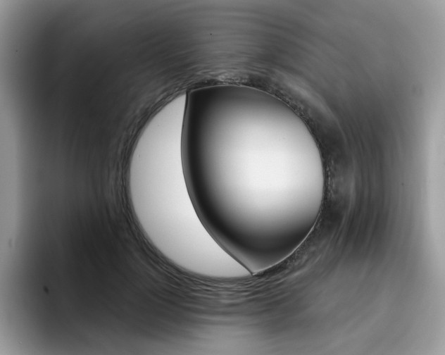X0000094940748200711291021