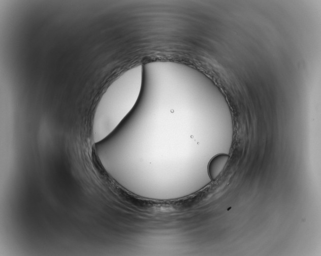 X0000094940749200711291021