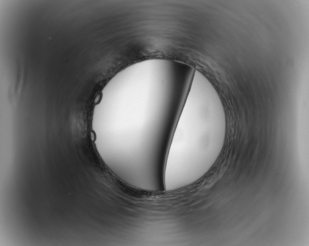 X0000094940751200711291021