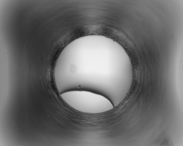 X0000094940757200711291021