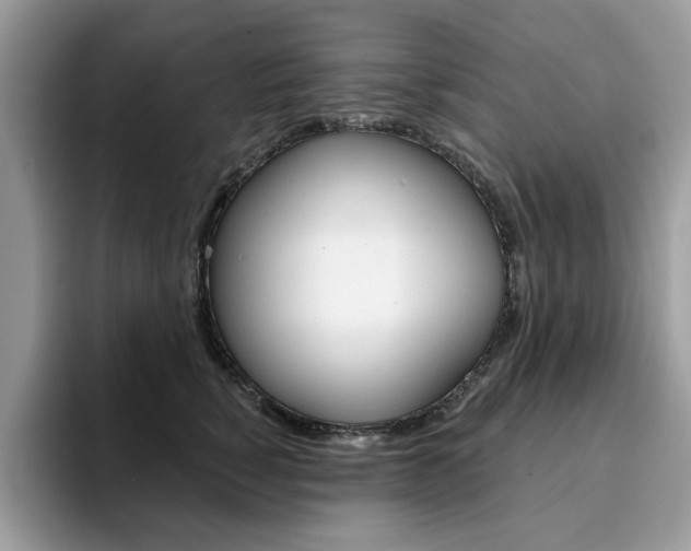 X0000094940760200711291021