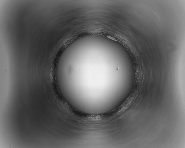 X0000094940762200711291021