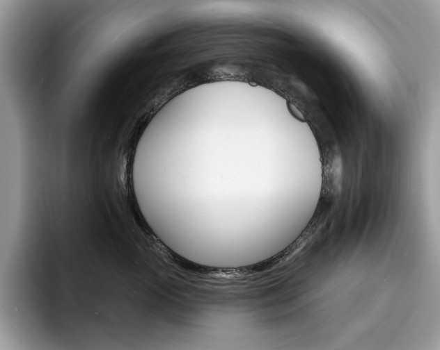 X0000094940765200711291021