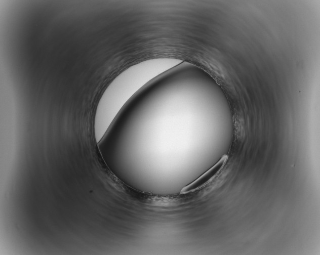 X0000094940766200711291021