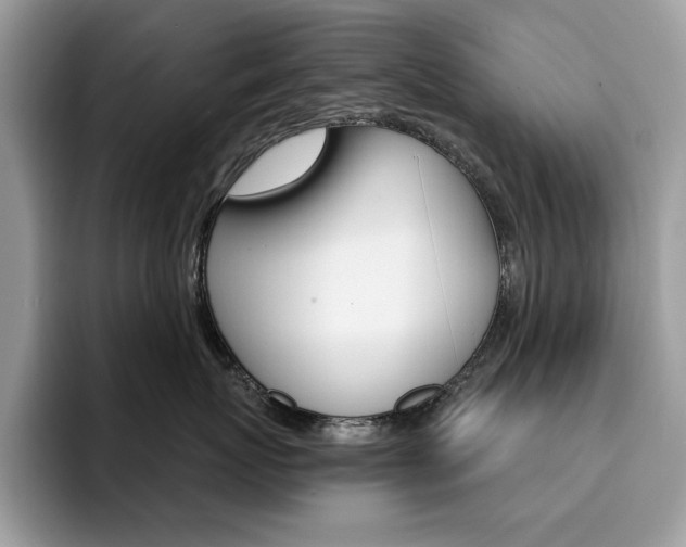 X0000094940767200711291021