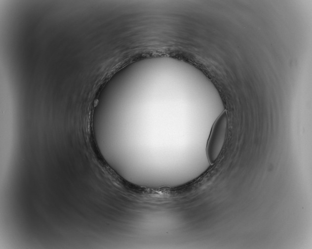 X0000094940768200711291021