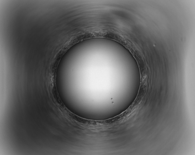 X0000094940772200711291020