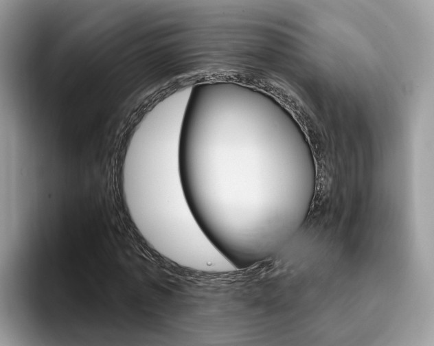 X0000094940773200711291020