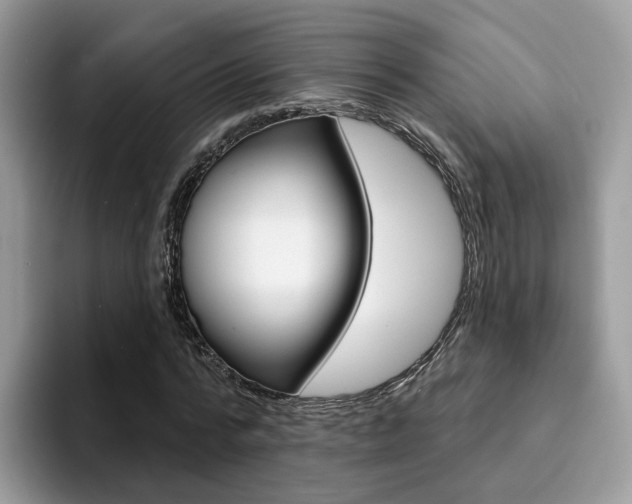 X0000094940776200711291020