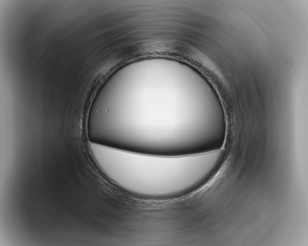 X0000094940777200711291020