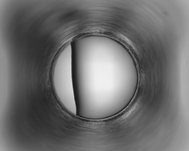 X0000094940778200711291020