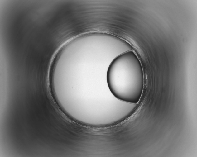 X0000094940780200711291020