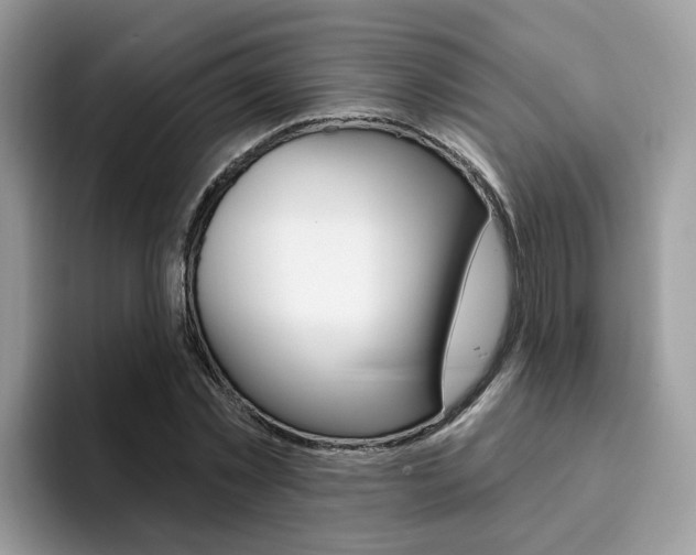 X0000094940781200711291020