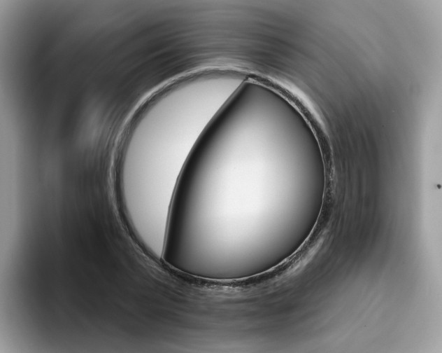 X0000094940783200711291020