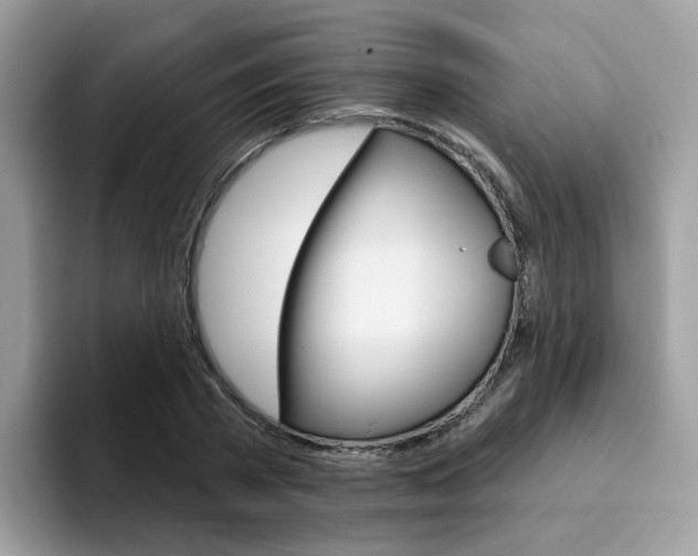 X0000094940785200711291020
